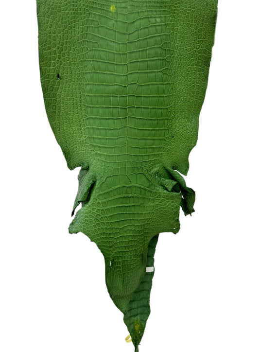 41 cm Grade 3/4 Jungle Green Matte Wild American Alligator Leather - Tag: LA23-0003476