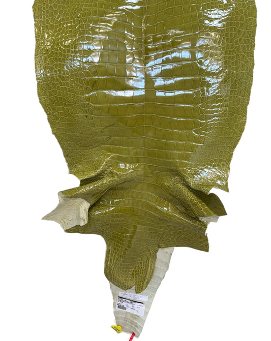 CLOSEOUT | 49 cm Grade 2/3 Muguet Glazed Wild American Alligator Leather - Tag: CCIT-0539950