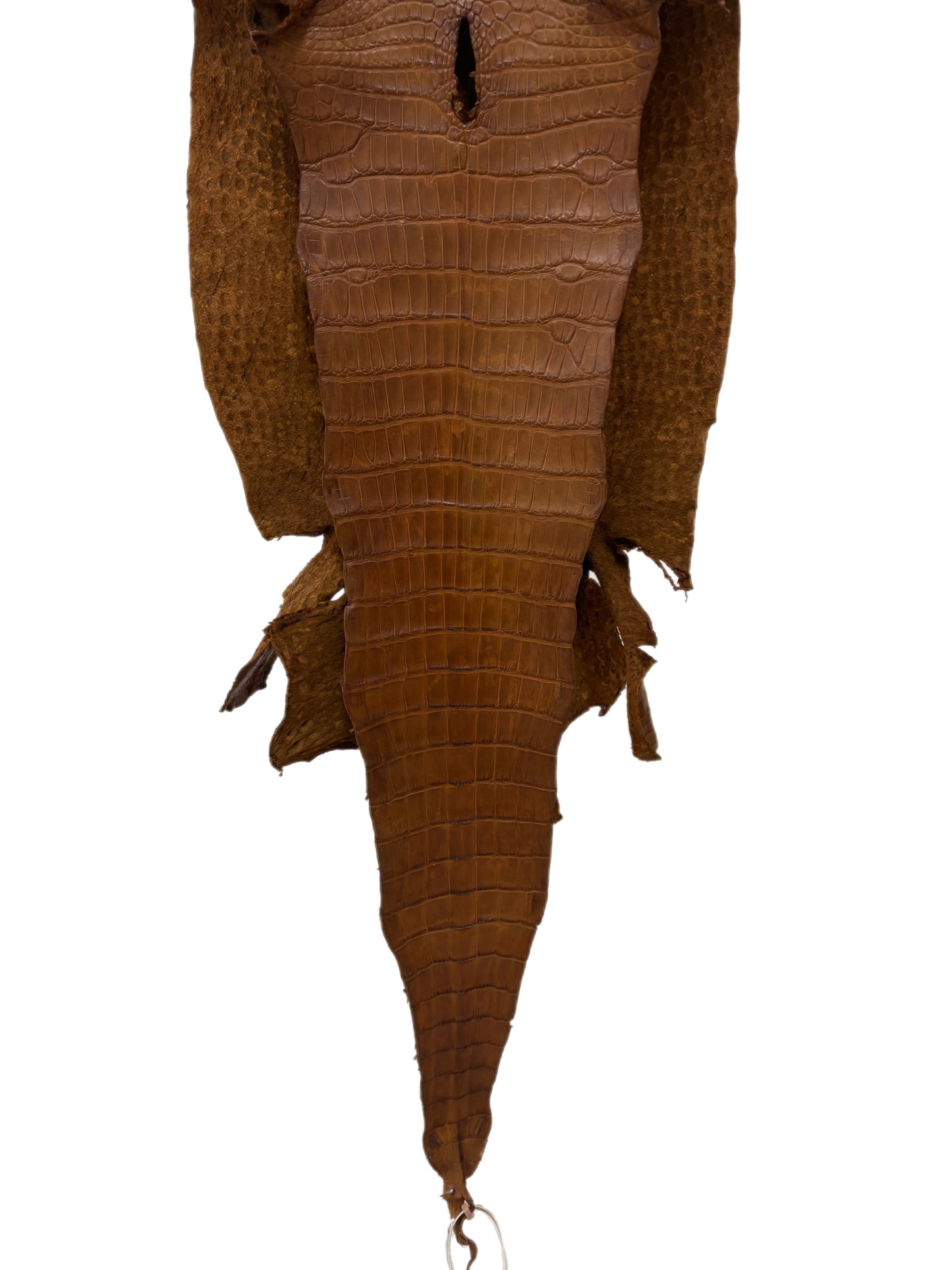 35 cm Grade 2/3 Kango Tabac Matte Wild American Alligator Leather - Tag: LA23-0051961
