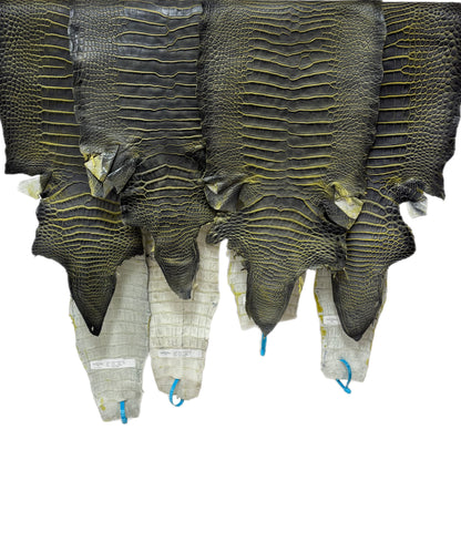 33-37 cm Grade 2/3 Voltage Matte American Alligator Leather | Closeout Deal
