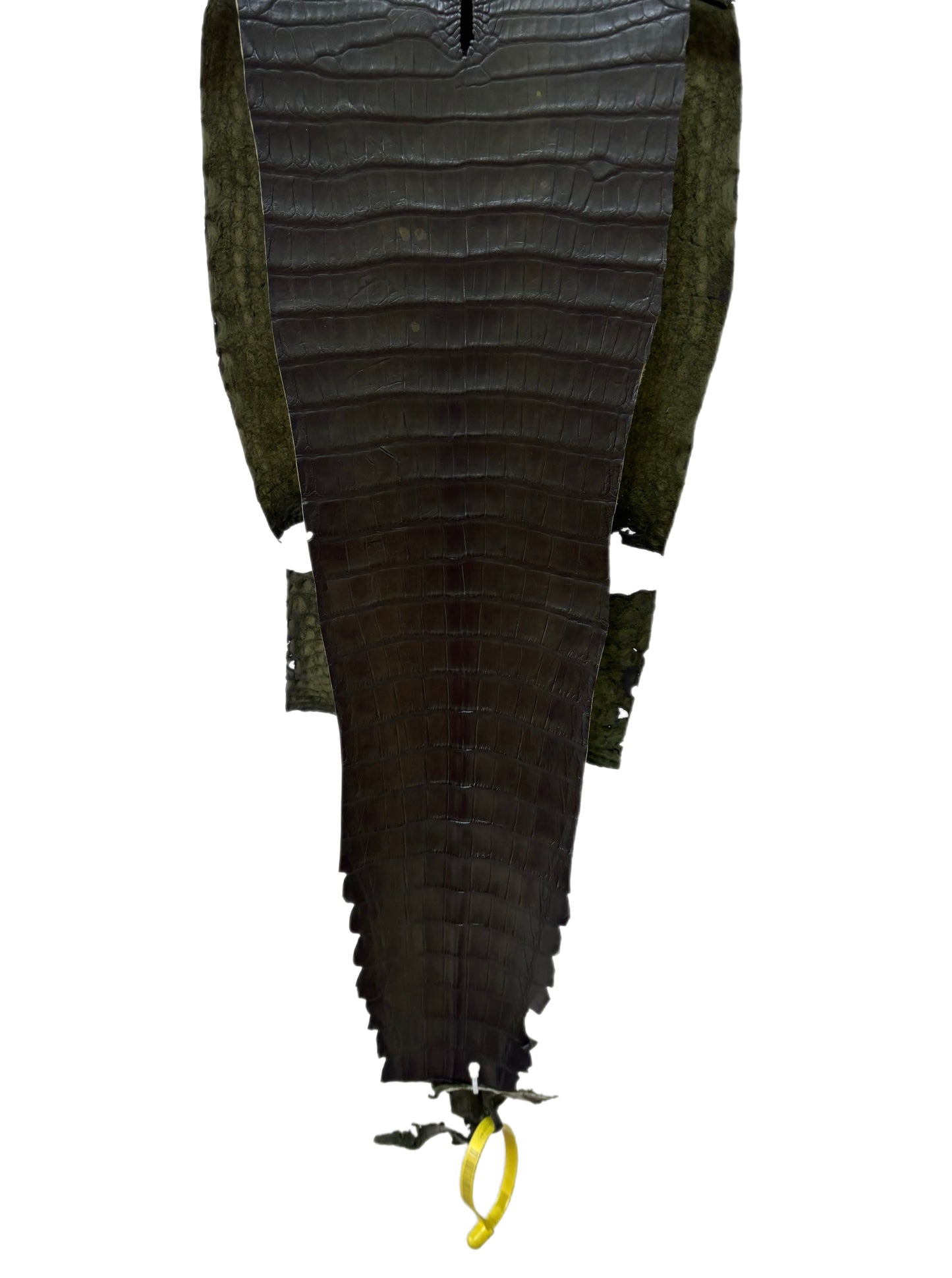 26 cm Grade 1/2 Olive Antique Farm-Raised American Alligator Leather - Tag: FL22-0030301