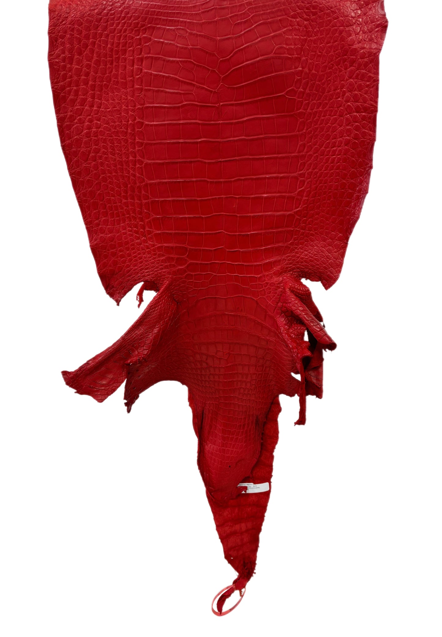 40 cm Grade 3/4 Candy Apple Red Matte Wild American Alligator Leather - Tag: LA24-0035289
