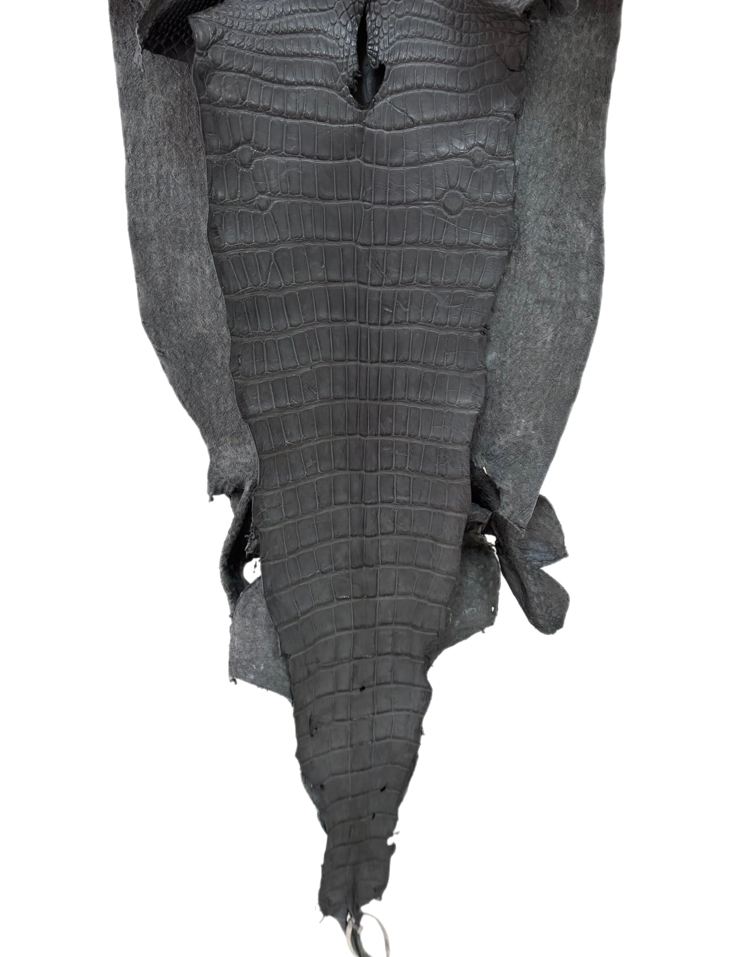 44 cm Grade 4/5 Serpentine Grey Matte Wild American Alligator Leather - Tag: LA23-0003313