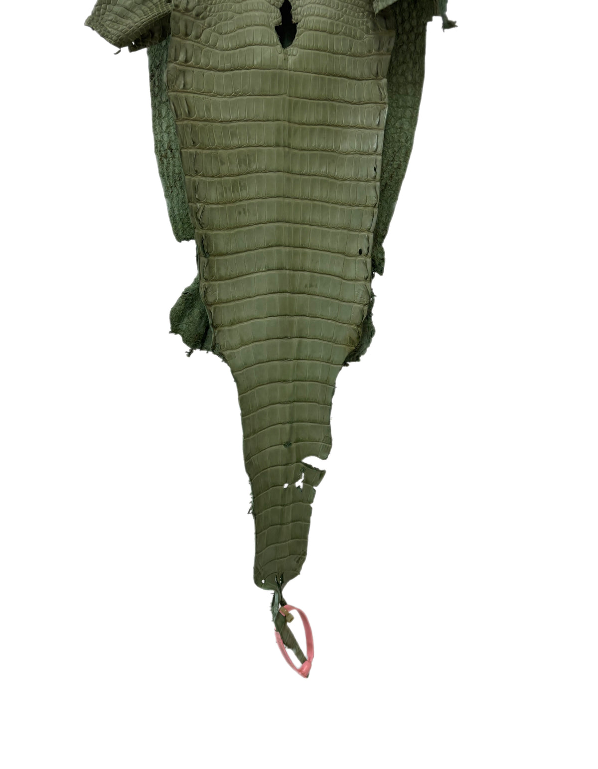 New Color! 25 cm Grade 1/2 Sage Green Matte Farm-Raised American Alligator Leather - Tag: LA24-0228862