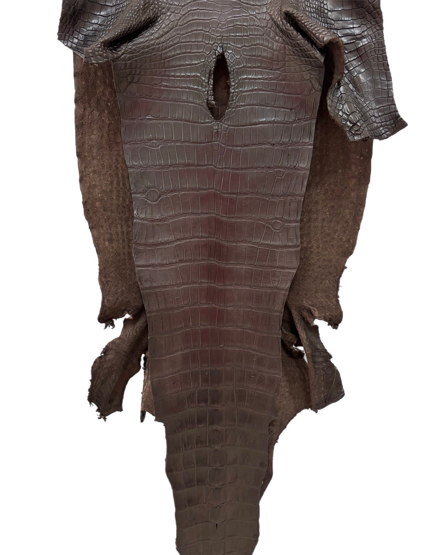 44 cm Grade 2/3 Kralle Brown Matte Wild American Alligator Leather - Tag: LA23-0016609