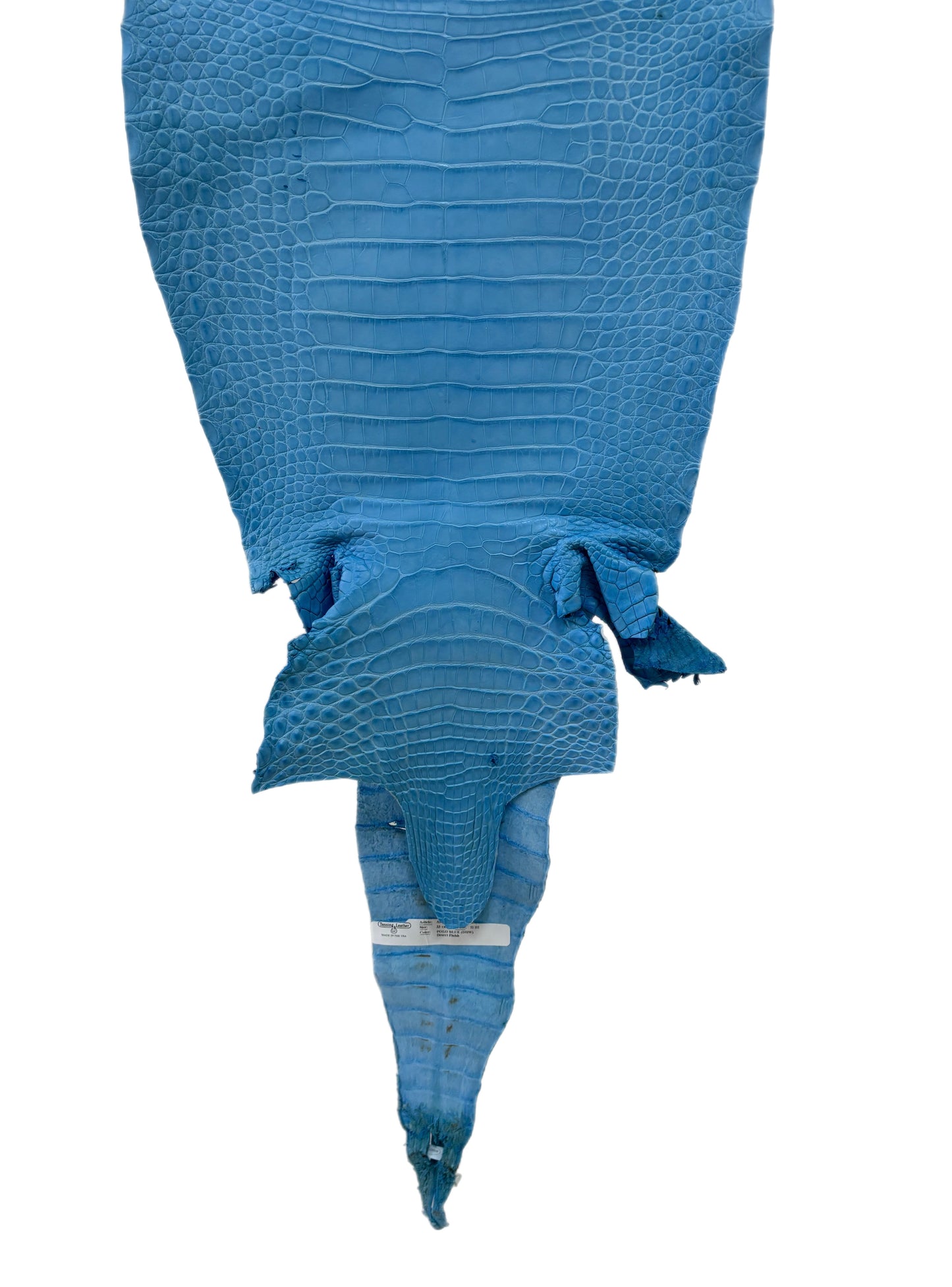 33 cm Grade 2/3 Sky Blue Matte Farm-Raised American Alligator Leather - Tag: FL17-0035056