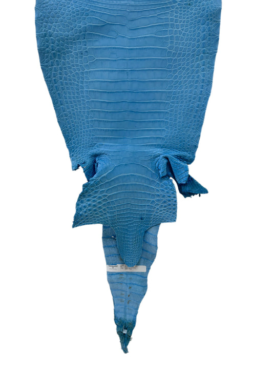 33 cm Grade 2/3 Sky Blue Matte Farm-Raised American Alligator Leather - Tag: FL17-0035056