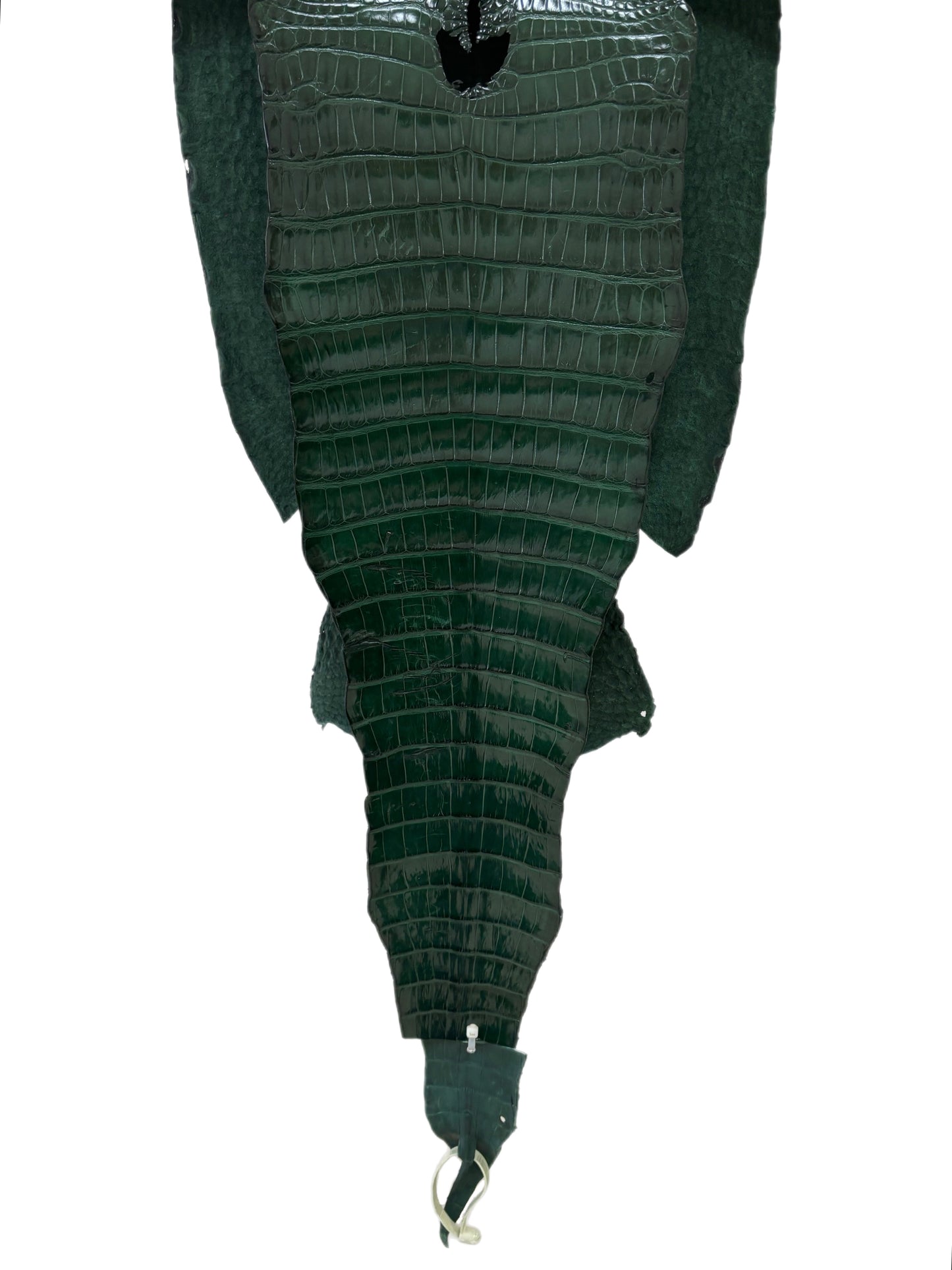 34 cm Grade 1/2 Forest Green Millennium Farm-Raised American Alligator Leather - Tag: FL17-0036952