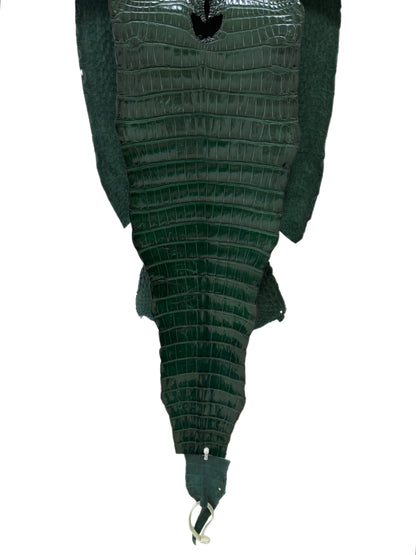 34 cm Grade 1/2 Forest Green Millennium Farm-Raised American Alligator Leather - Tag: FL17-0036952