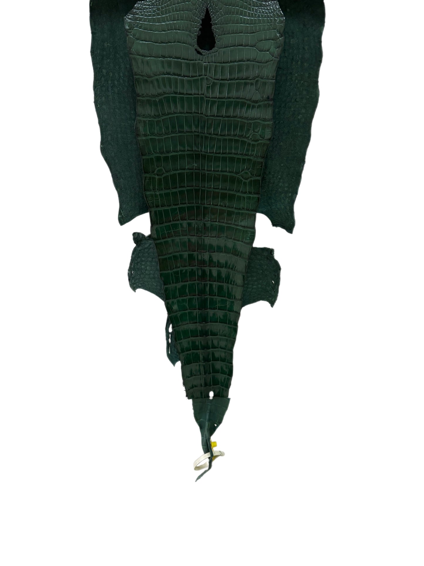 38 cm Grade 1/2 Forest Green Millennium Wild American Alligator Leather - Tag: LA17-0013382