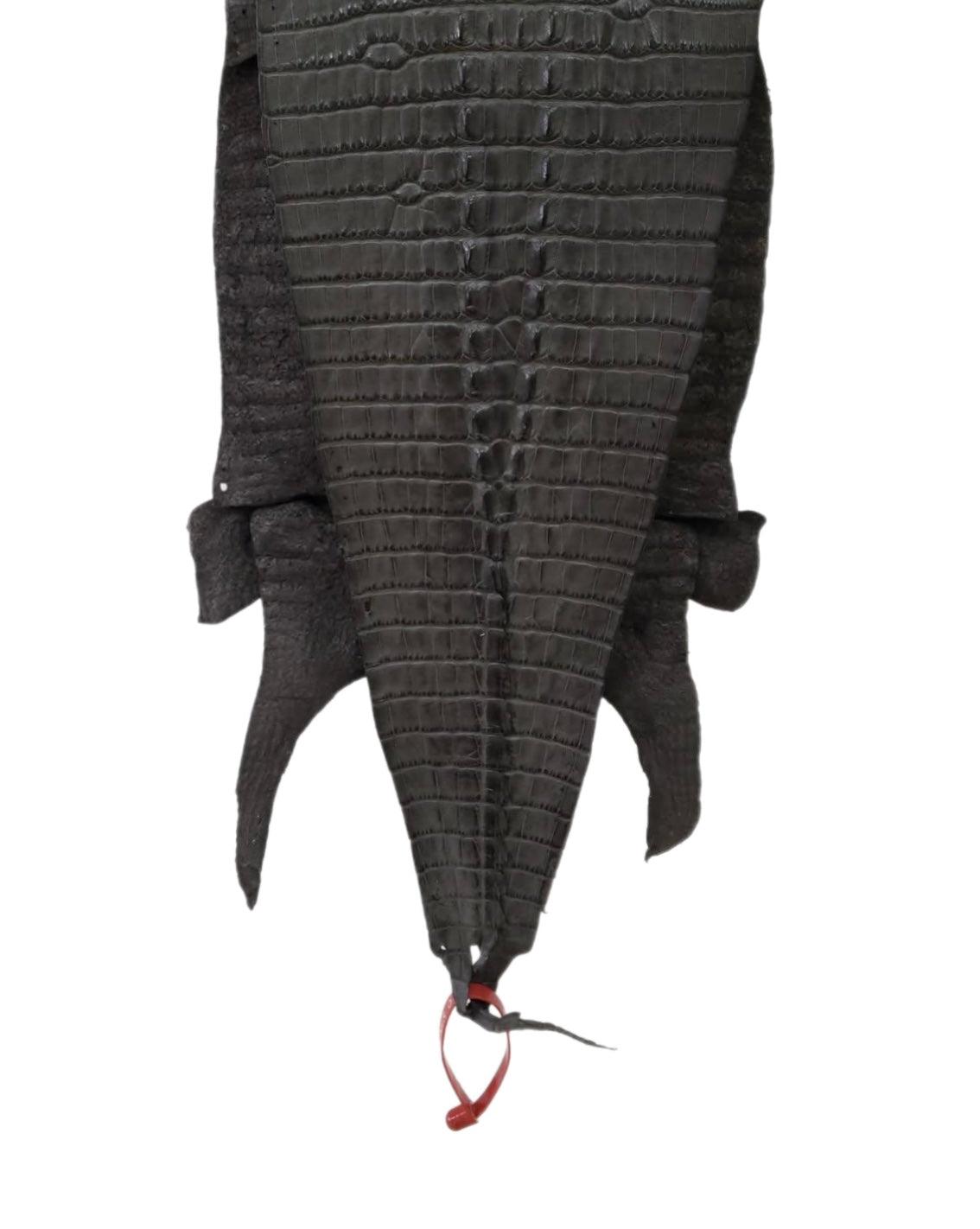 27 cm Grade 2/3 Charcoal Grey Matte Farm-Raised American Alligator Hornback Leather - Tag: LA04-0238697