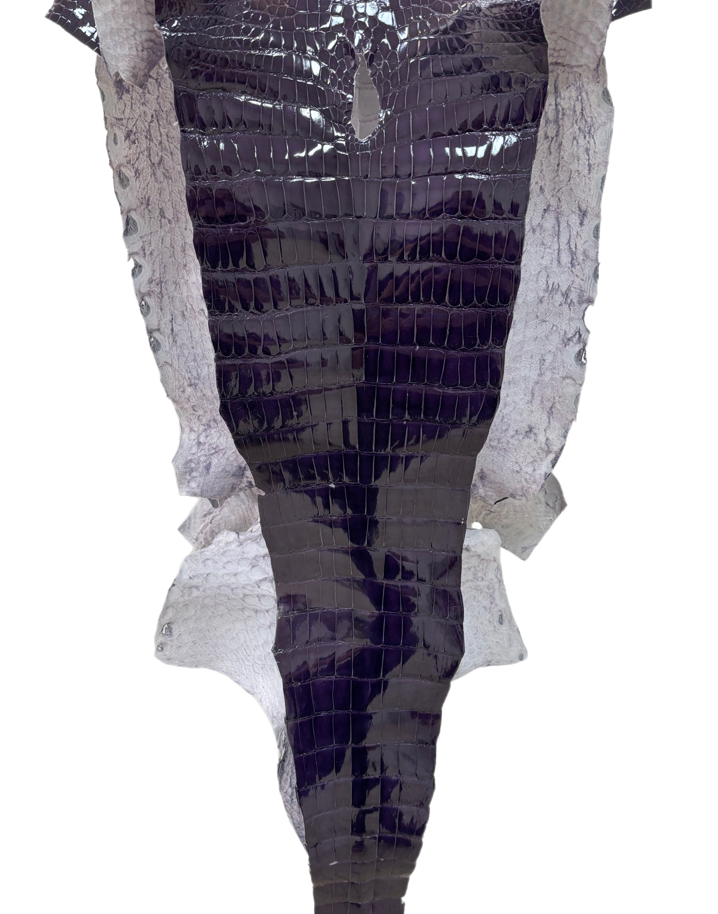 42 cm Grade 2/3 Viola Glazed Wild American Alligator Leather - Tag: LA22-0016758