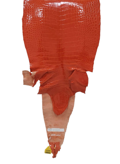 33 cm Grade 1/2 Mandarina Glazed Farm-Raised American Alligator Leather - Tag: GA13-0021244