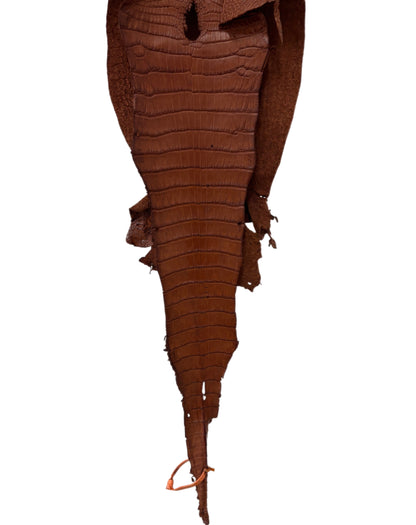 27 cm Grade 3/4 Rustic Cognac Desert Wild American Alligator Leather - Tag: MS24-0000556