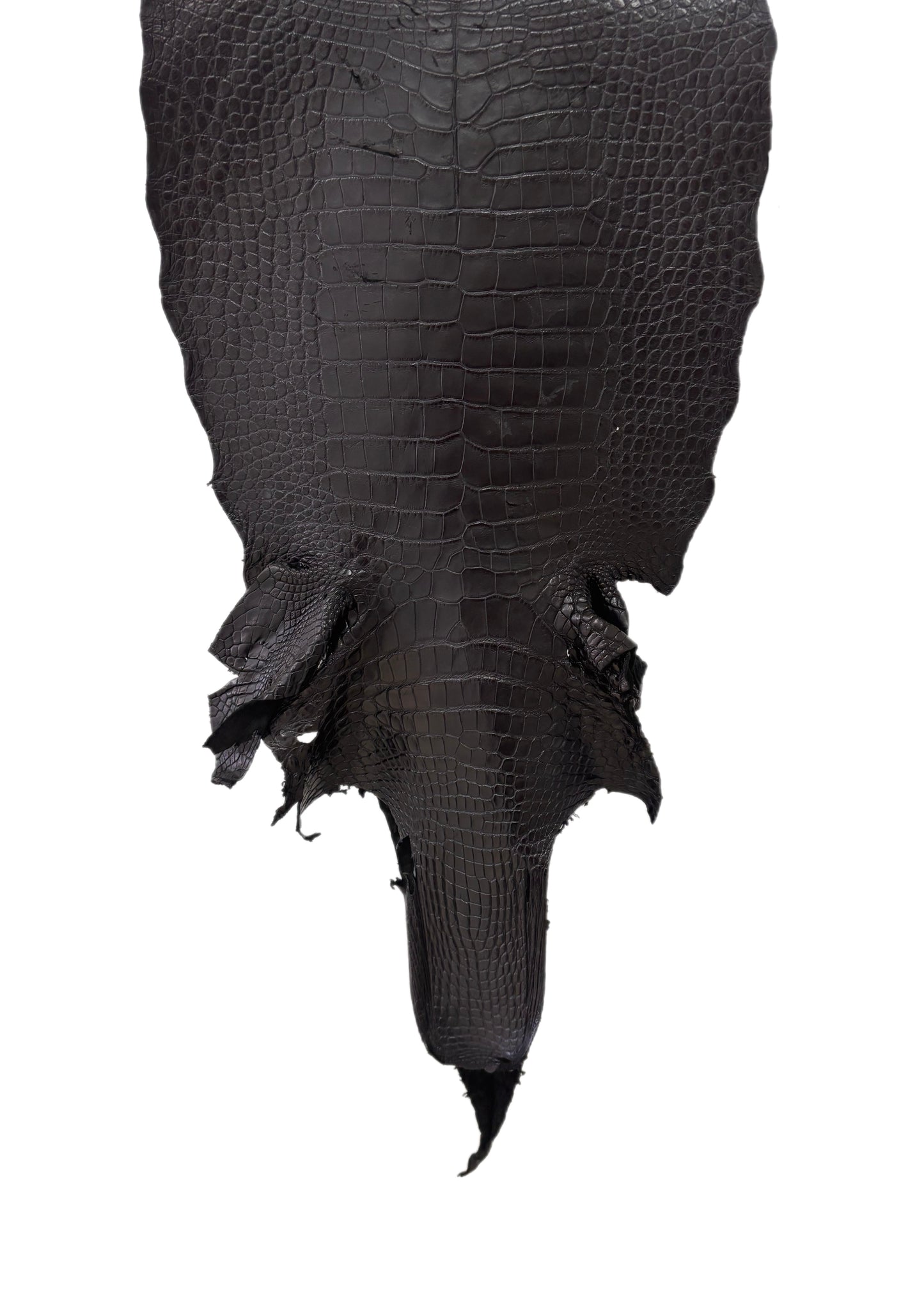 38 cm Grade 4/5 Black Matte Wild American Alligator Leather - Tag: LA18-0033277