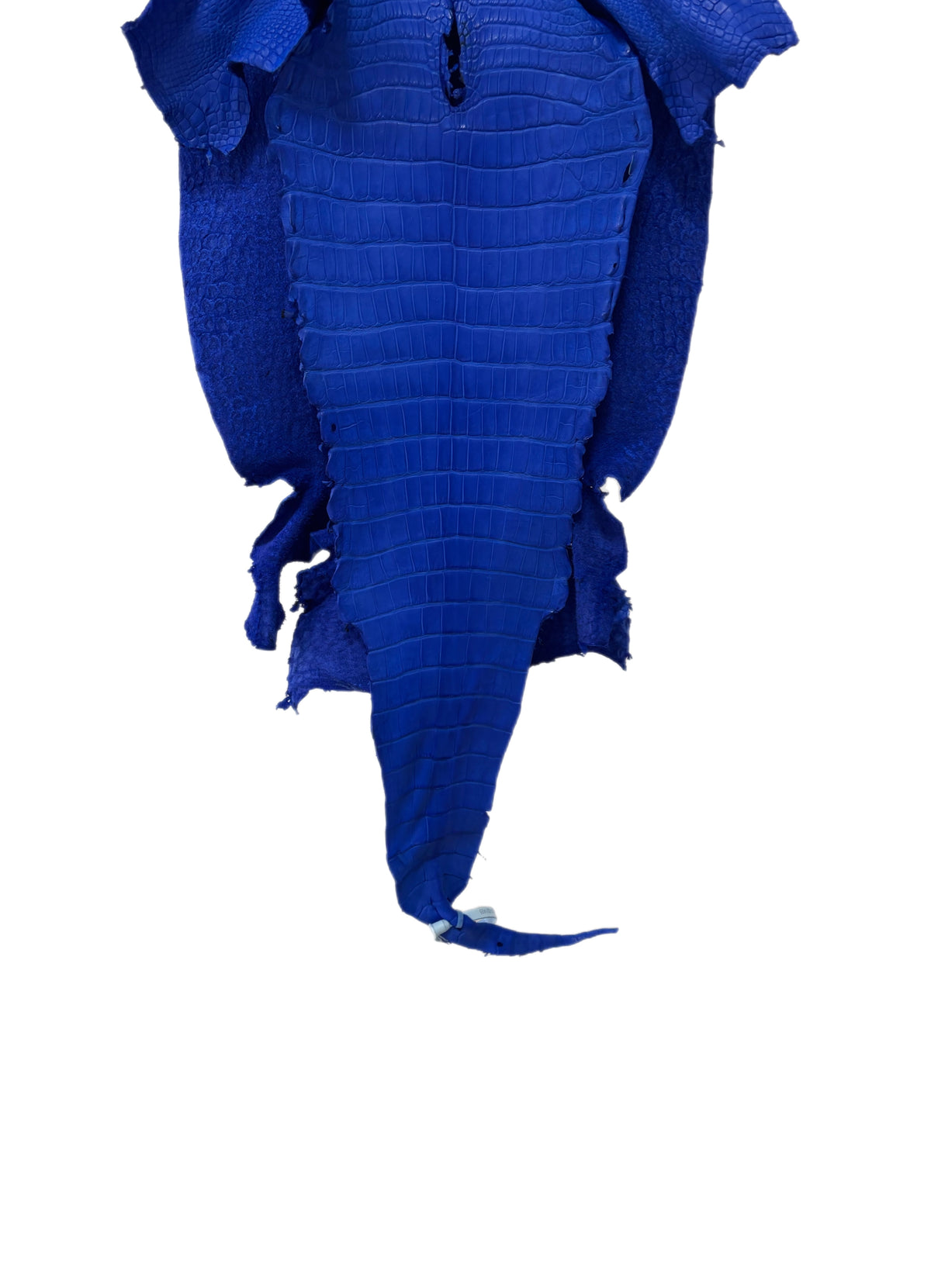 38 cm Grade 1/2 Royal Blue Matte Wild American Alligator Leather - Tag: LA23-0021495