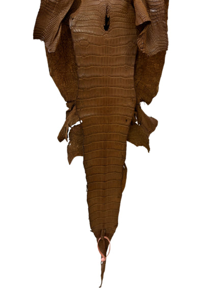 31 cm Grade 2/3 Kango Tabac Matte Wild American Alligator Leather - Tag: LA18-0037347