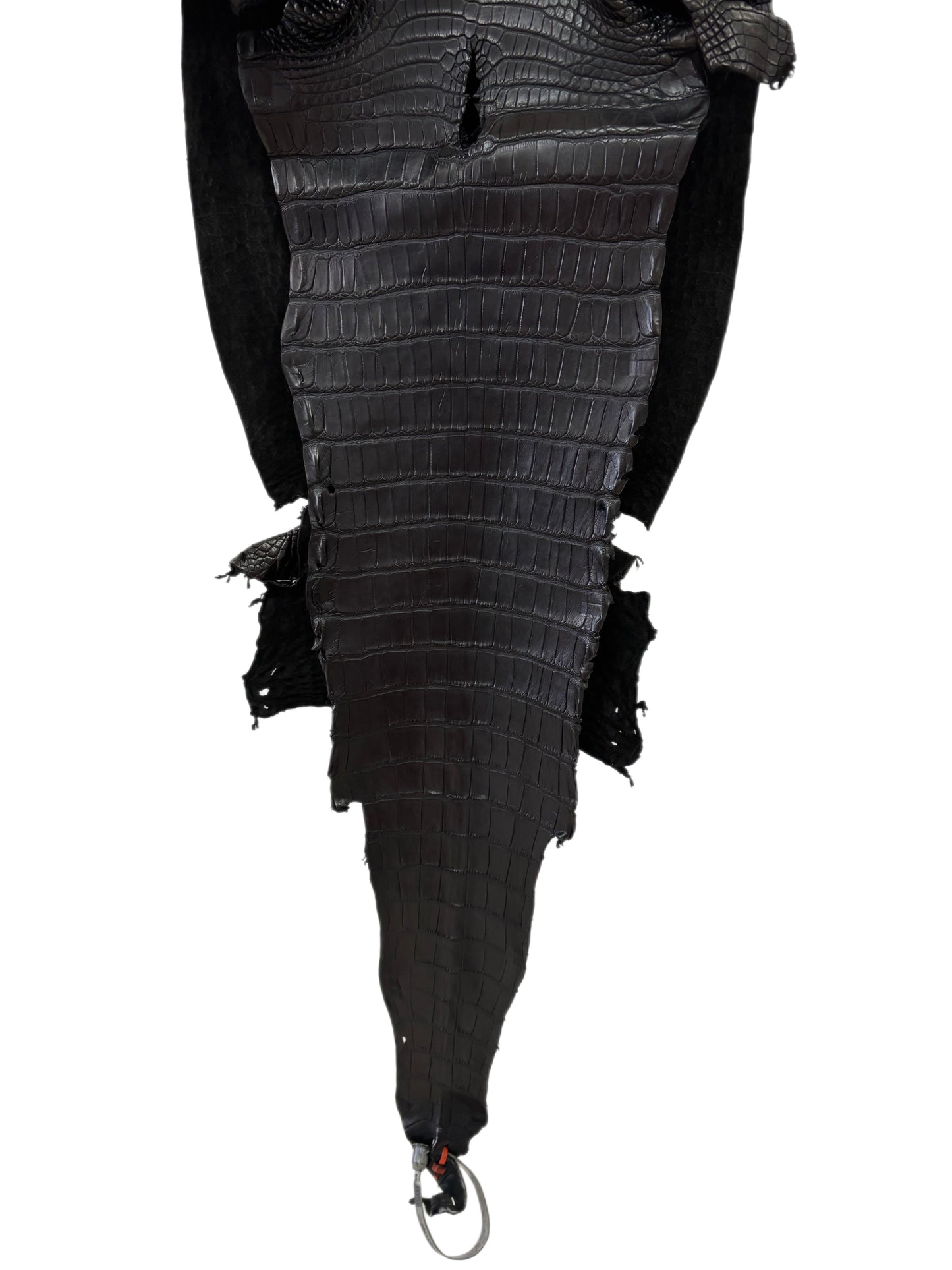 28 cm Grade 2/3 Black Matte Farm-Raised American Alligator Leather - Tag: LA23-0531064