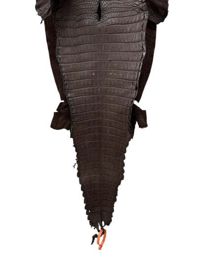 29 cm Grade 2/3 Chocolate Matte Farm-Raised American Alligator Leather - Tag: FL21-0024090