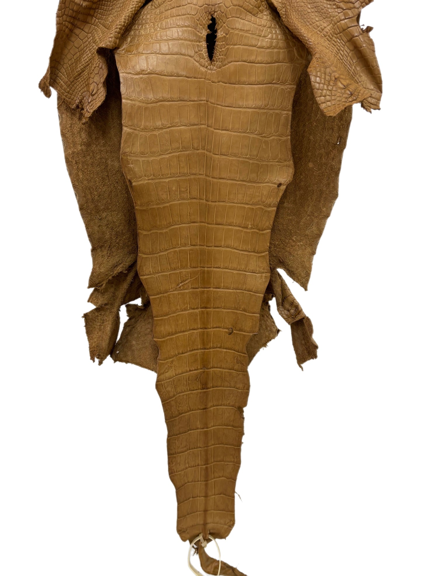 37 cm Grade 2/3 Antique Saddle Matte Wild American Alligator Leather - Tag: LA23-0003112