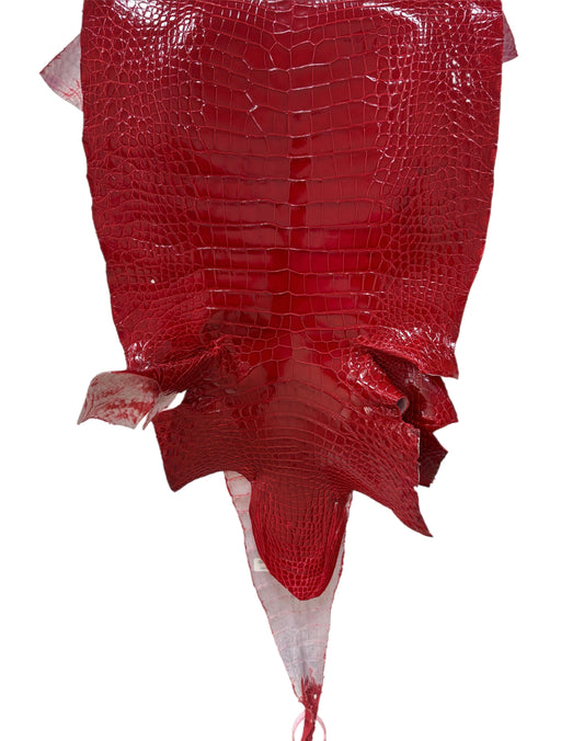 36 cm Grade 3/4 UGA Red Glazed Wild American Alligator Leather - Tag: LA18-0011453