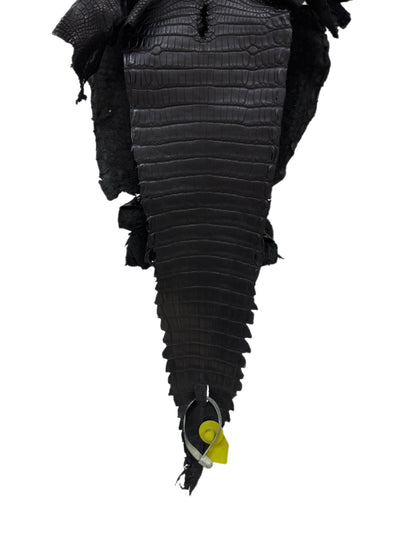 22 cm Grade 1/2 Black Matte Wild American Alligator Leather - Tag: GA15-0047309