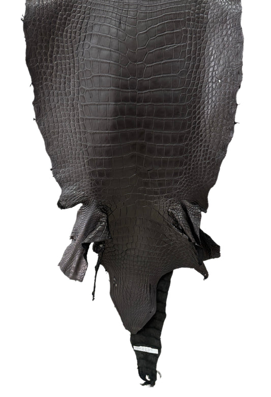 58 cm Grade 3/4 Black Matte Wild American Alligator Leather - Tag: LA23-0003134