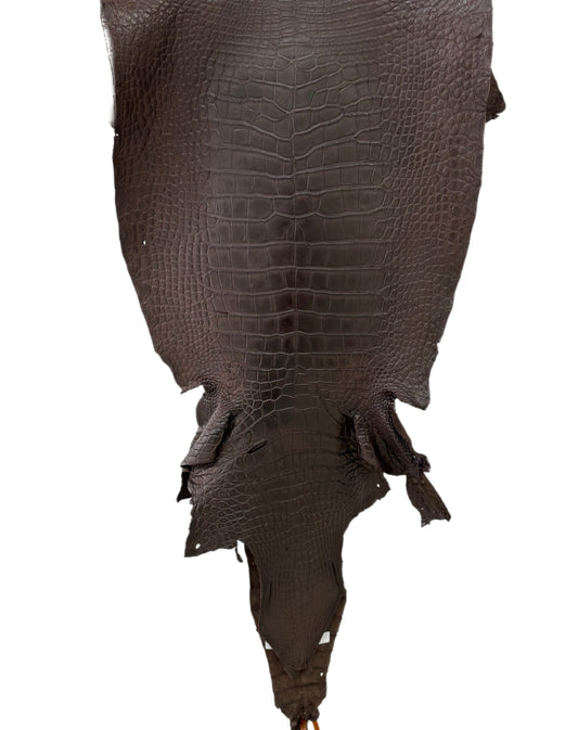 44 cm Grade 4/5 Dark Chocolate Matte Wild American Alligator Leather - Tag: LA23-0048144