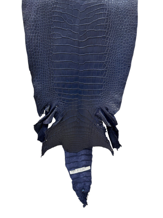 37 cm Grade 2/3 Navy Blue Desert Wild American Alligator Leather - Tag: LA23-0015406