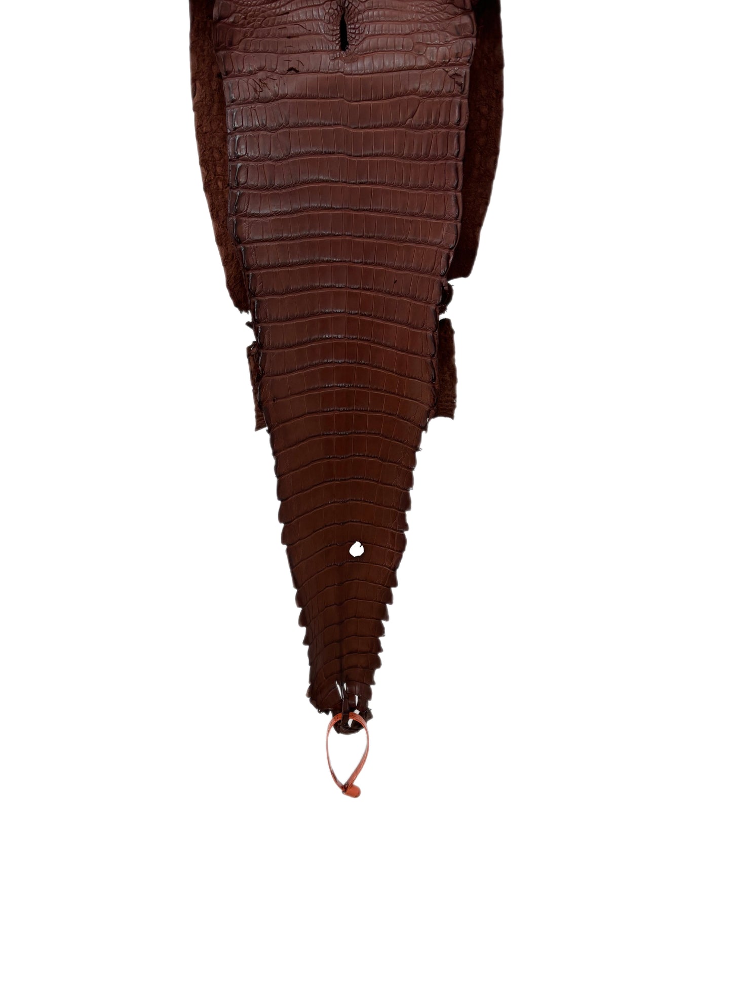 23 cm Grade 2/3 Italian Gold Matte Farm-Raised American Alligator Leather - Tag: FL21-0025066