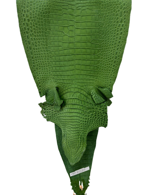 38 cm Grade 3/4 Jungle Green Matte Farm-Raised American Alligator Leather - Tag: FL18-0034793