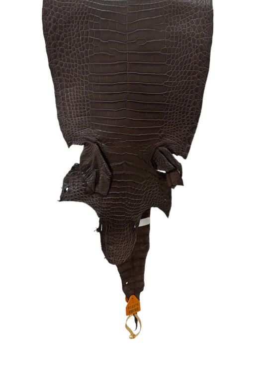 28 cm Grade 1 Chocolate Matte Wild American Alligator Leather - Tag: FL15-0057346