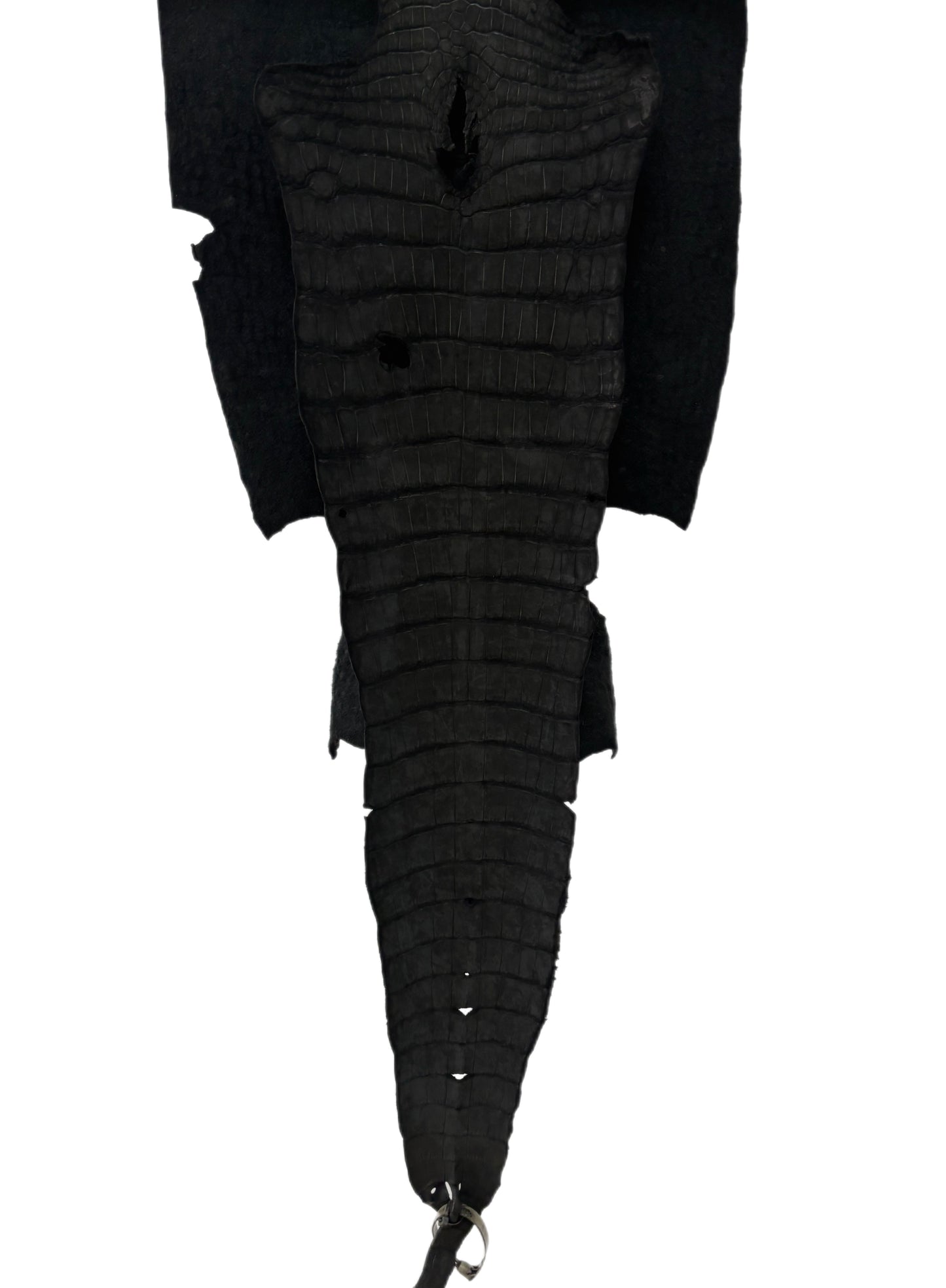 37 cm Grade 3/4 Black Nubuck Wild American Alligator Leather - Tag: LA23-0034146