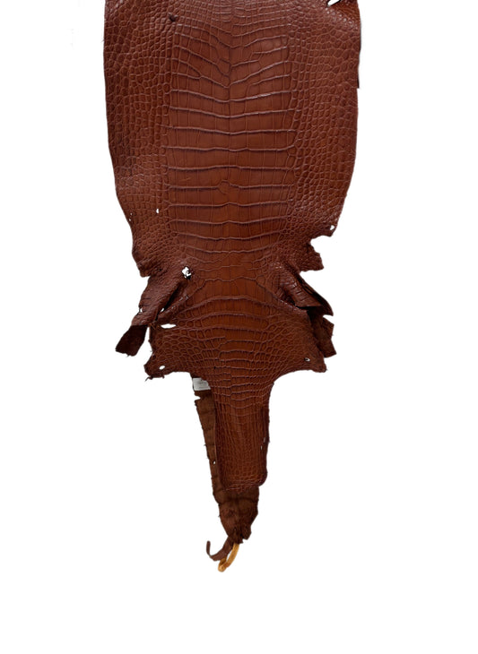 30 cm Grade 3/4 Rustic Cognac Matte Wild American Alligator Leather - Tag: LA23-0022661
