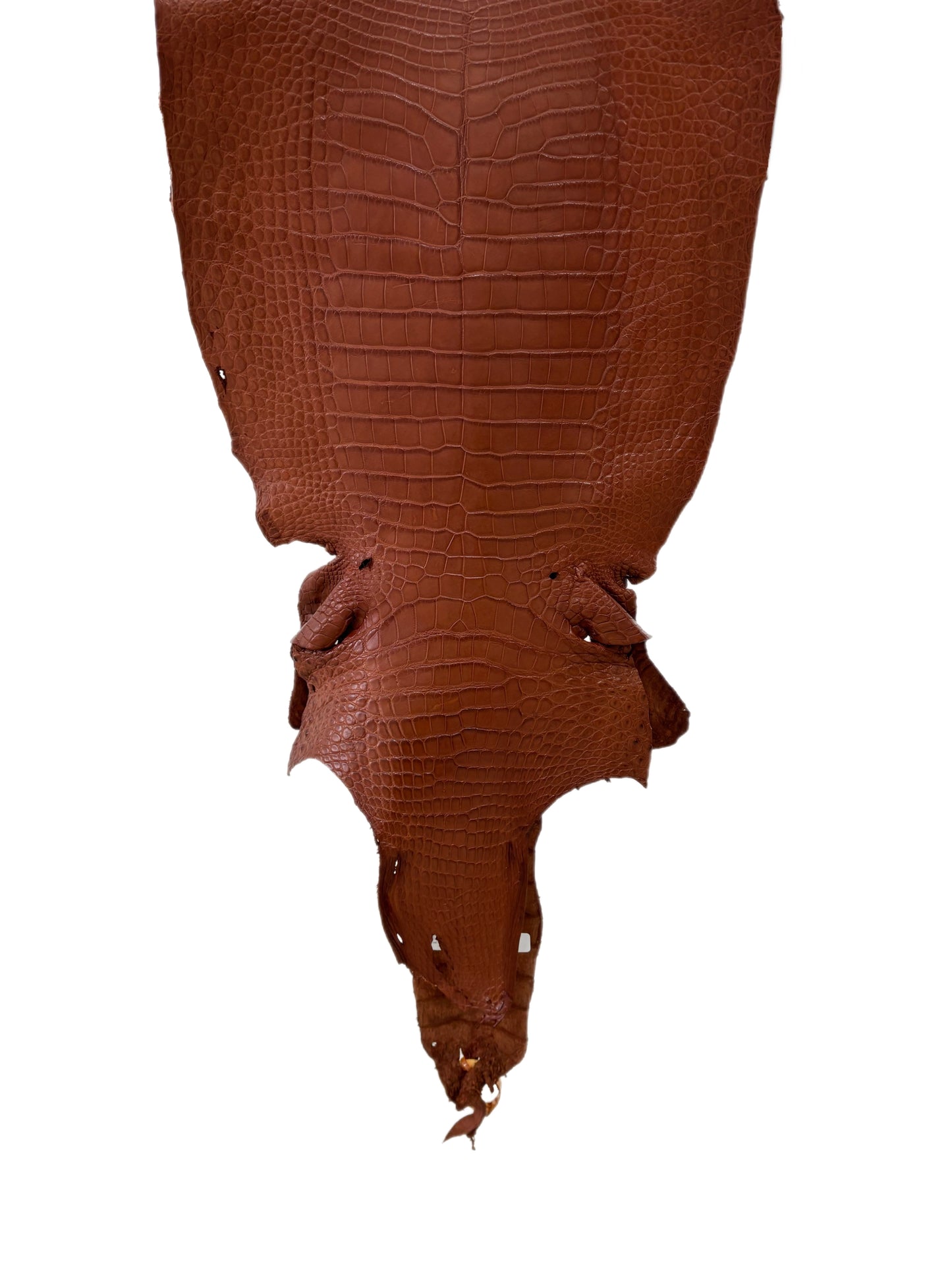 40 cm Grade 2/3 Rustic Cognac Matte Wild American Alligator Leather - Tag: LA23-0021515