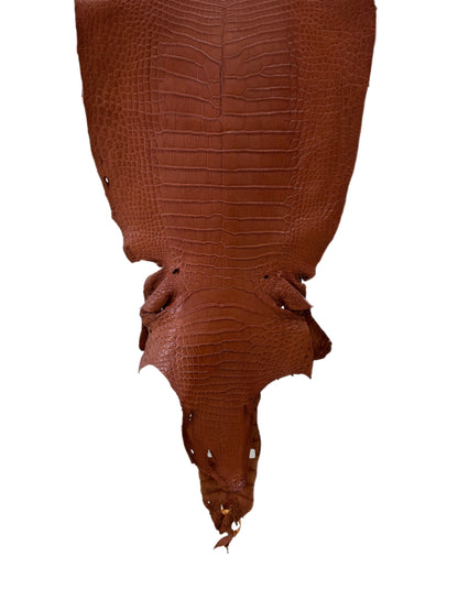 40 cm Grade 2/3 Rustic Cognac Matte Wild American Alligator Leather - Tag: LA23-0021515