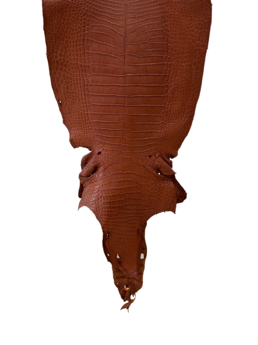 40 cm Grade 2/3 Rustic Cognac Matte Wild American Alligator Leather - Tag: LA23-0021515