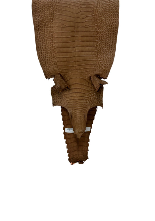 26 cm Grade 1/2 Kango Tabac Matte Farm-Raised American Alligator Leather - Tag: FL21-0024997
