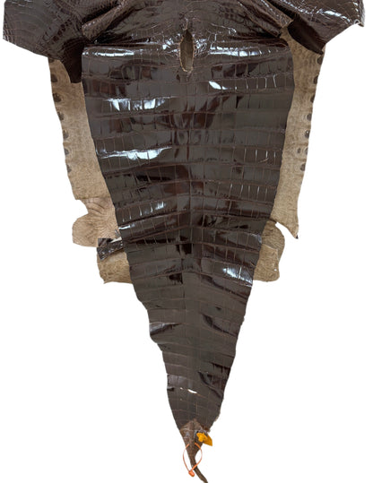 54 cm Grade 2/3 Sport Rust Brown Glazed Farm-Raised American Alligator Leather - Tag: FL14-0004025