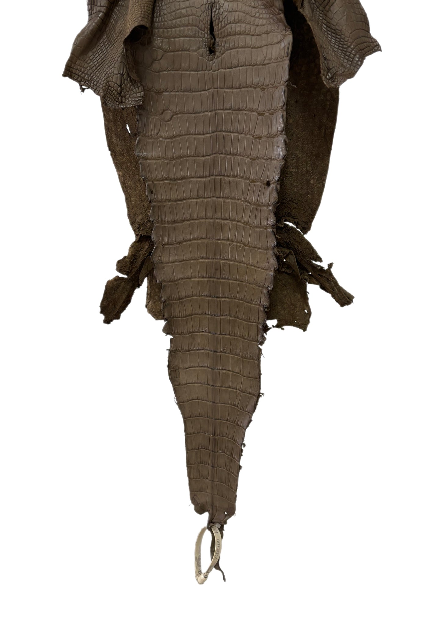 28 cm Grade 3/4 Mink Matte Wild American Alligator Leather - Tag: LA23-0047011