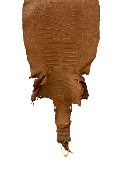 36 cm Grade 2/3 Almond Matte Wild American Alligator Leather - Tag: LA23-0024151