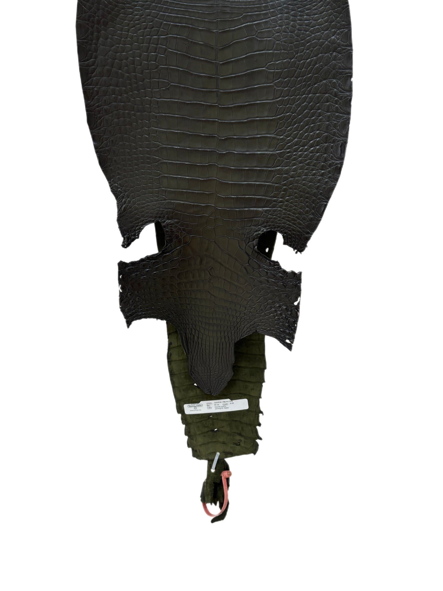 30 cm Grade 2/3 Olive Antique Farm-Raised American Alligator Leather - Tag: FL21-0024415