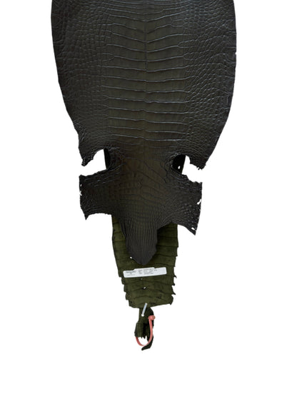 30 cm Grade 2/3 Olive Antique Farm-Raised American Alligator Leather - Tag: FL21-0024415
