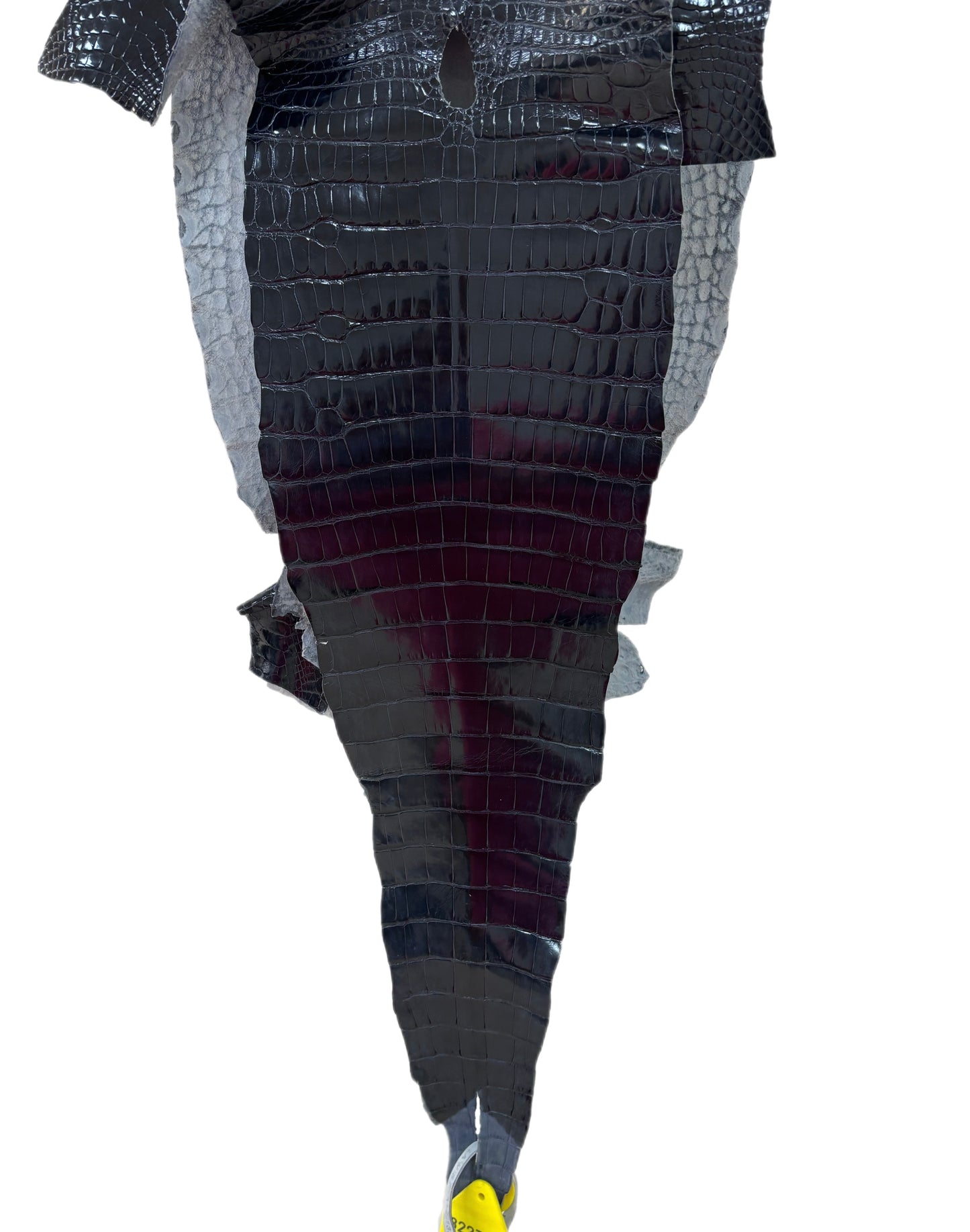 25 cm Grade 1 Navy Blue Glazed Farm Raised American Alligator Leather - Tag: LA17-0133817