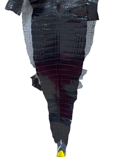 25 cm Grade 1 Navy Blue Glazed Farm Raised American Alligator Leather - Tag: LA17-0133817