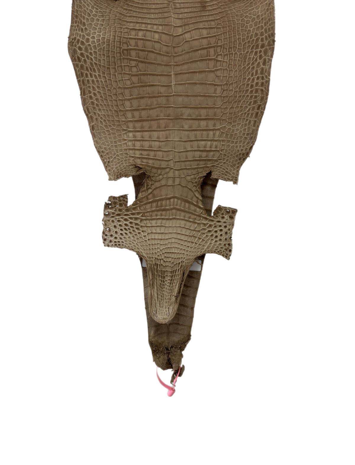 New Color and Finish! 27 cm Grade 1/2 Stormy Nubuck Farm-Raised American Alligator Leather - Tag: FL21-0024849