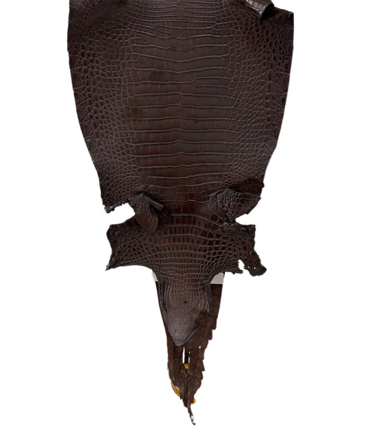 CLOSEOUT | 24 cm Grade 4/5 Chocolate Matte Farm Raised American Alligator Leather - Tag: FL22-0030122