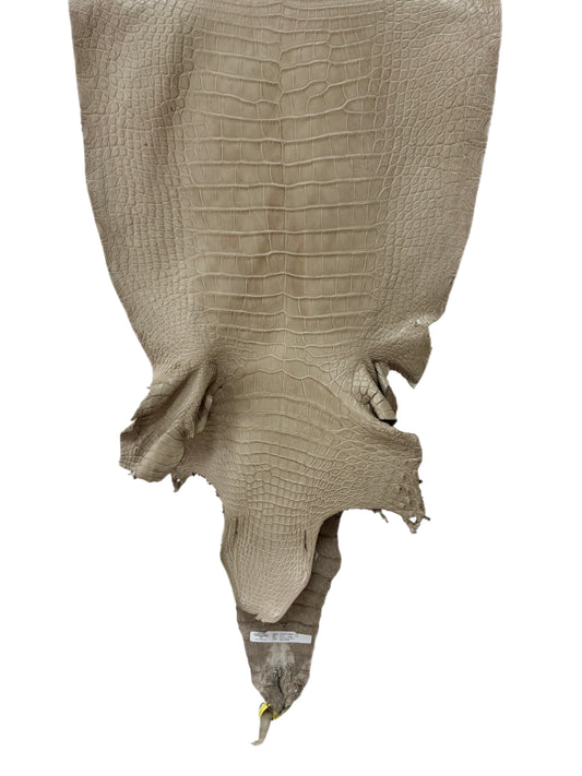 50 cm Grade 2/3 Oatmeal Matte Wild American Alligator Leather - Tag: LA25-0043914