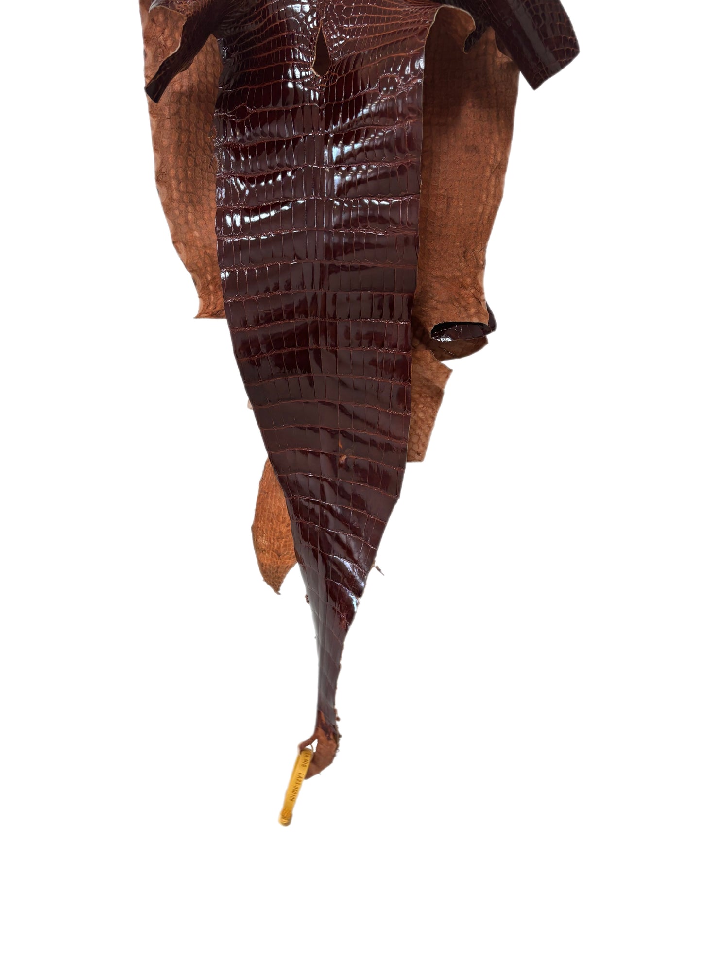 28 cm Grade 2/3 Peanut Glazed Wild American Alligator Leather - Tag: LA23-0050106