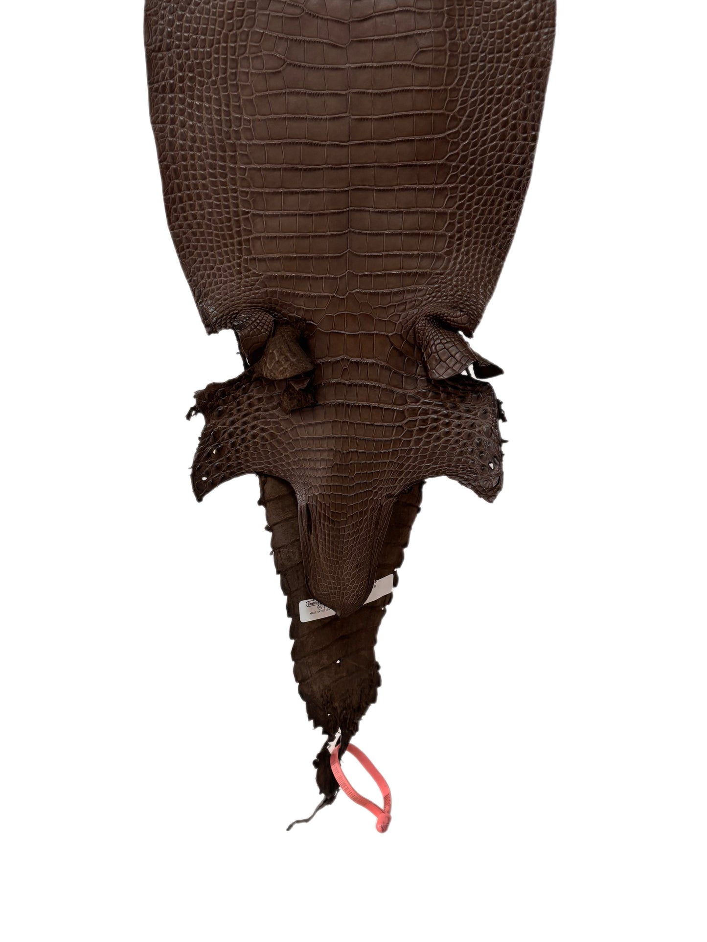 25 cm Grade 1/2 Nicotine Matte Farm-Raised American Alligator Leather - Tag: FL21-0024513